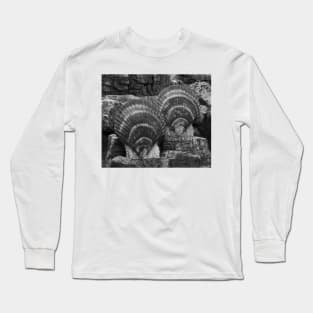 Shells Sculpture. Vladivostok Oceanarium Long Sleeve T-Shirt